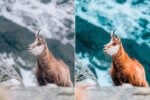 Orange & Teal Preset Collection - Image 2