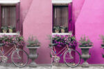 Purple Tone Preset Collection - Image 6